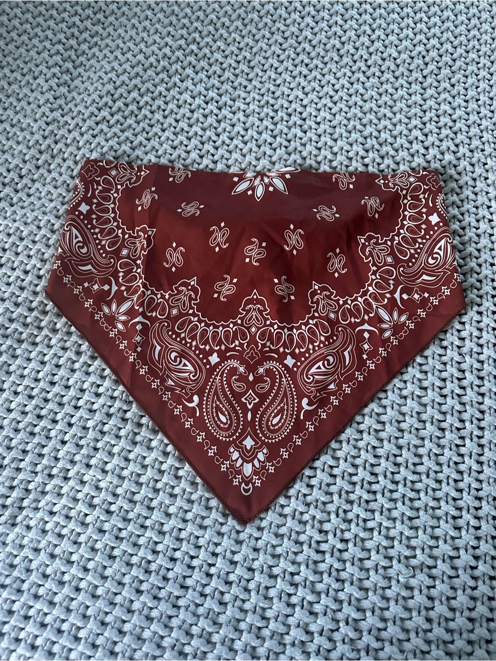 SHEIN Copper Paisley Bandana Crop top